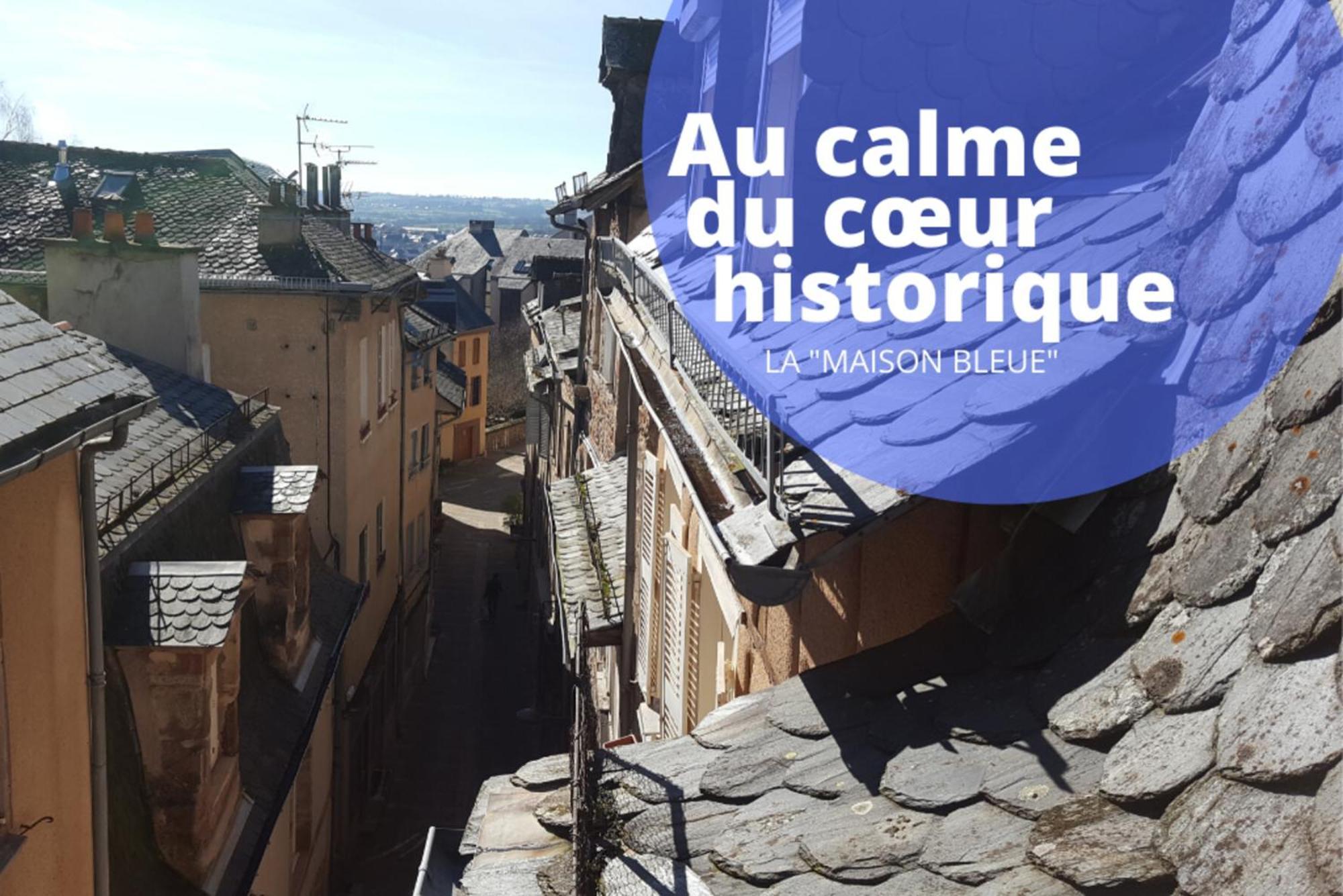 La Maison Bleue, Un Emplacement De Choix A Rodez Eksteriør billede