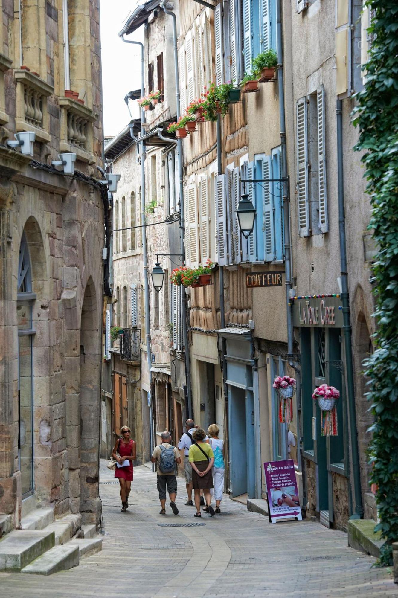 La Maison Bleue, Un Emplacement De Choix A Rodez Eksteriør billede